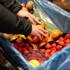 Mixed Value Box Subscription - Fortnighly